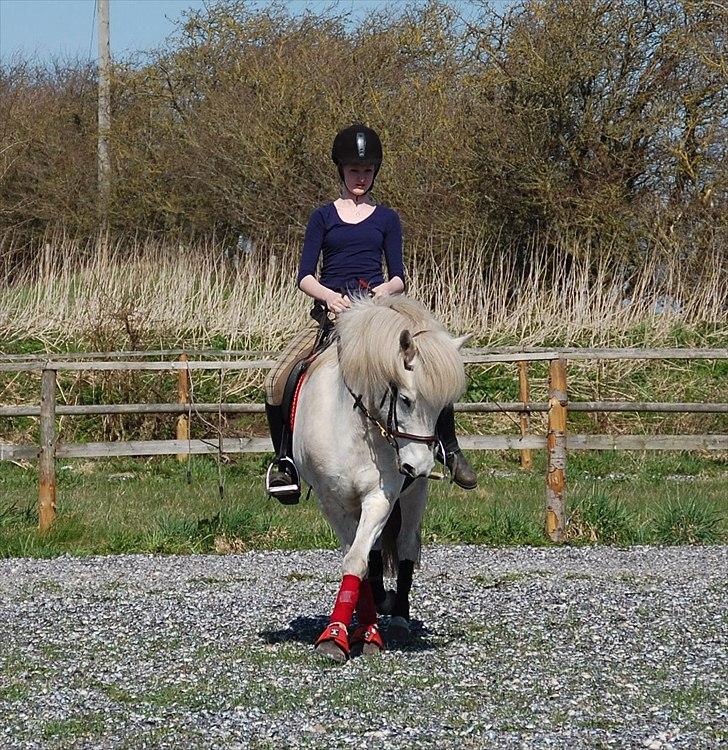 Islænder KRAFSA FRA RAVNEKROGEN |Skadet| - 8. Dressur D. 18/4 2011 Hun kan da godt;P

Love is missing someone whenever you’re apart, but somehow feeling warm inside because you’re close in heart billede 8