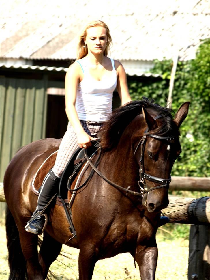 Anden særlig race Lisevangs Rosita.  billede 15