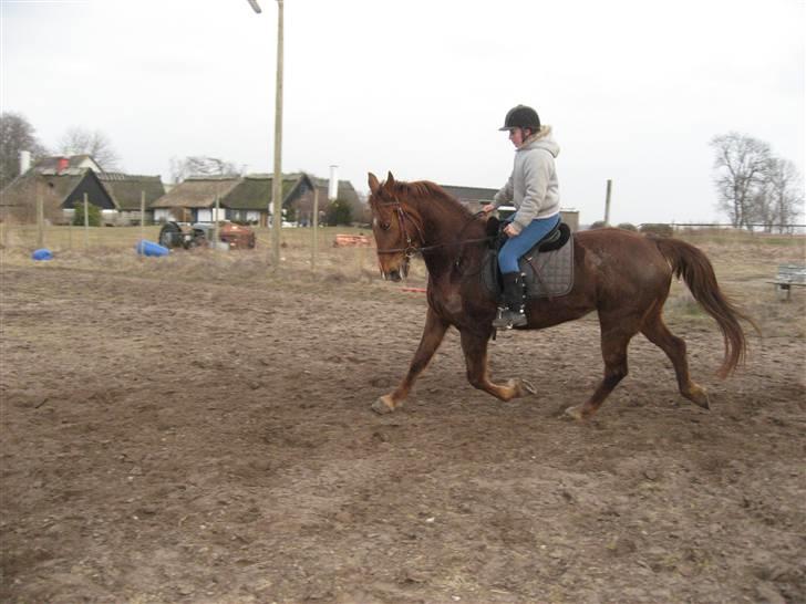 Anden særlig race Mitzi *R.I.P* 29/6 2010 billede 12
