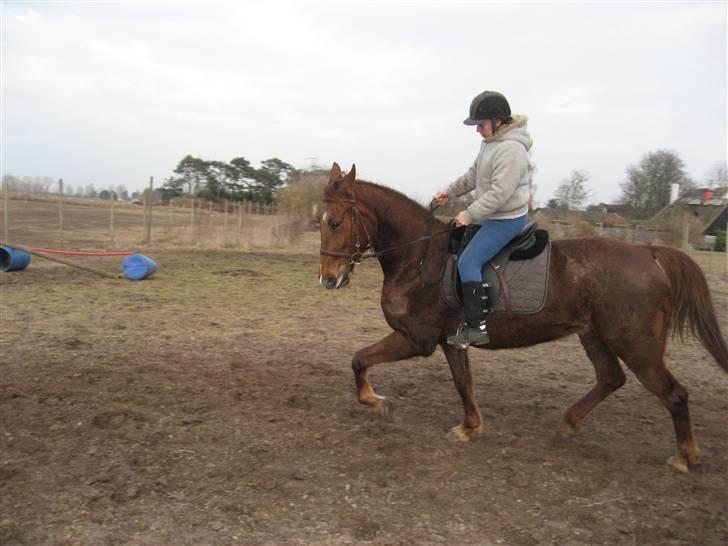 Anden særlig race Mitzi *R.I.P* 29/6 2010 billede 13