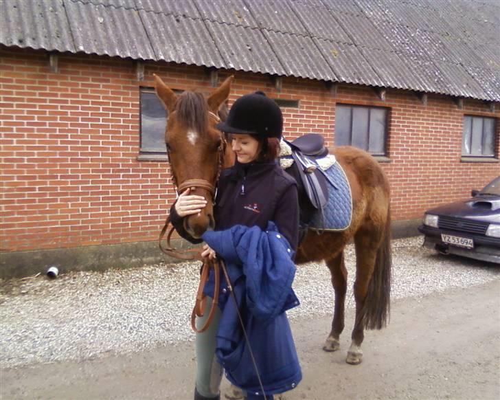 Anden særlig race Quinton - 19/3-10, Lill og Quinton på vej ind i stalden efter ridning billede 10