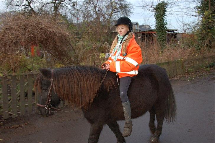 Anden særlig race Hugo - Mig og Hugo i 2007 billede 5