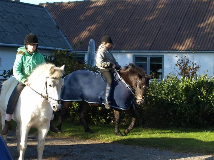 Anden særlig race Mackai - Når Emmeli og jeg hygger (: billede 5