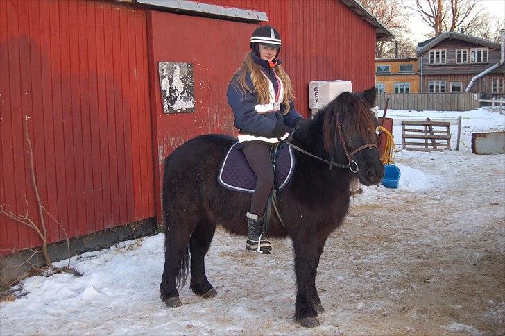 Anden særlig race Hugo - Hugo og Mig på hyggetur i det nye år d.2 jan 2011 :)  billede 11