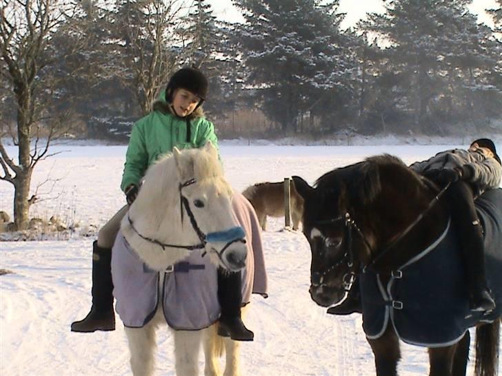 Anden særlig race Mackai - Bare lidt hygge og fjolleri :) billede 7