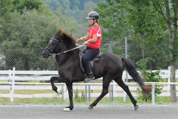 Islænder Prinsessa fra Pegasus - Prinsessa og jeg til træning til Nordsiek Mesterskaber 2008  billede 1