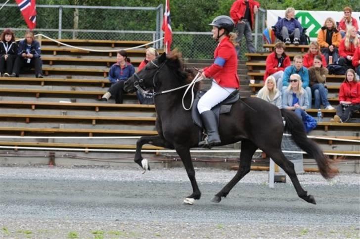Islænder Prinsessa fra Pegasus - Prinsessa og jeg til Nordsiek Mesterskaber 2008 hvor vi fik en bronzemedalje med hjem:) billede 3