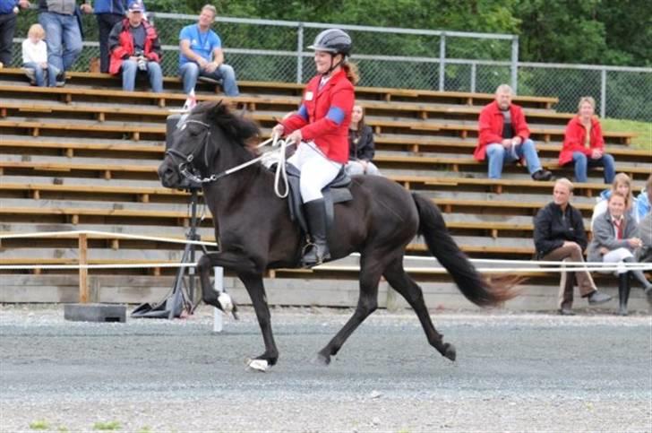 Islænder Prinsessa fra Pegasus - Prinsessa og jeg til Nordsiek Mesterskaber 2008 hvor vi fik en bronzemedalje med hjem:) billede 4