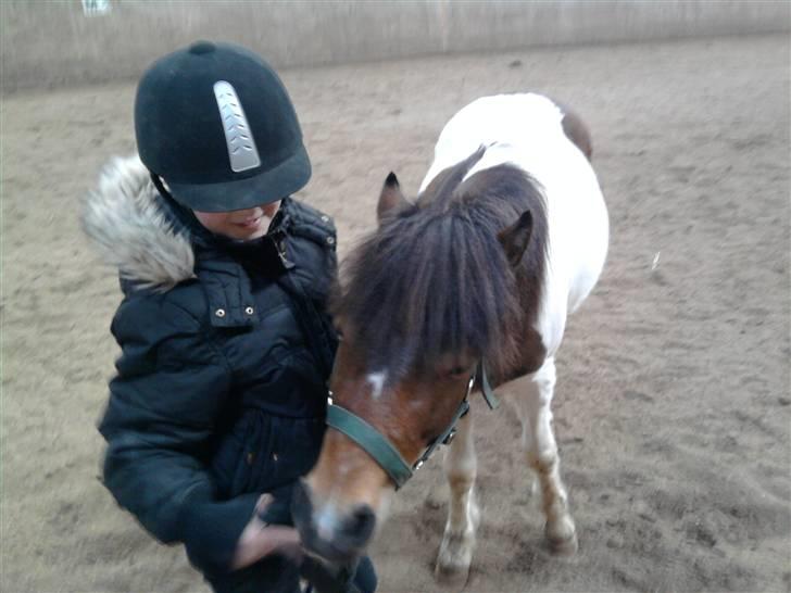 Pinto Arsenal - Må jeg få noget sabine billede 8