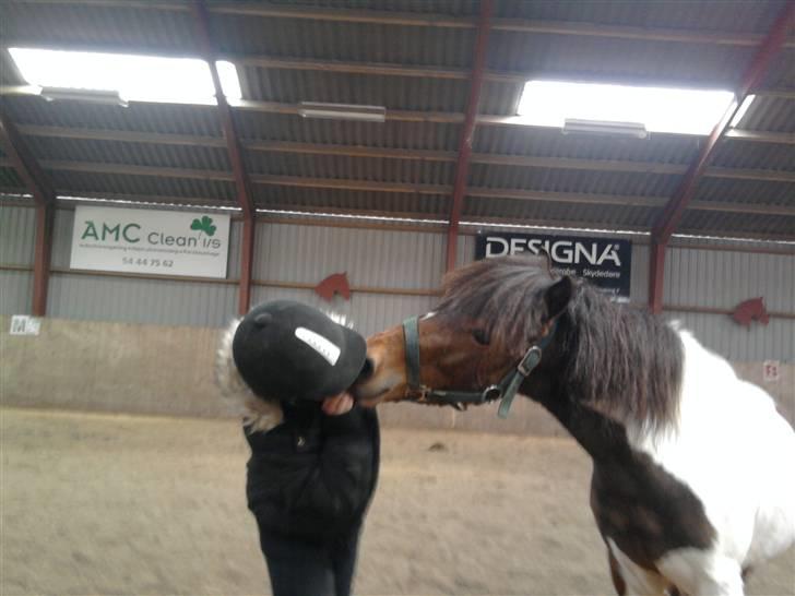 Pinto Arsenal - Vil du have et kys billede 10