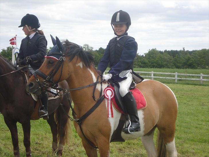 Pinto Holleskovgårds Teckla. - vi vinder sgu lige igen<333 billede 6