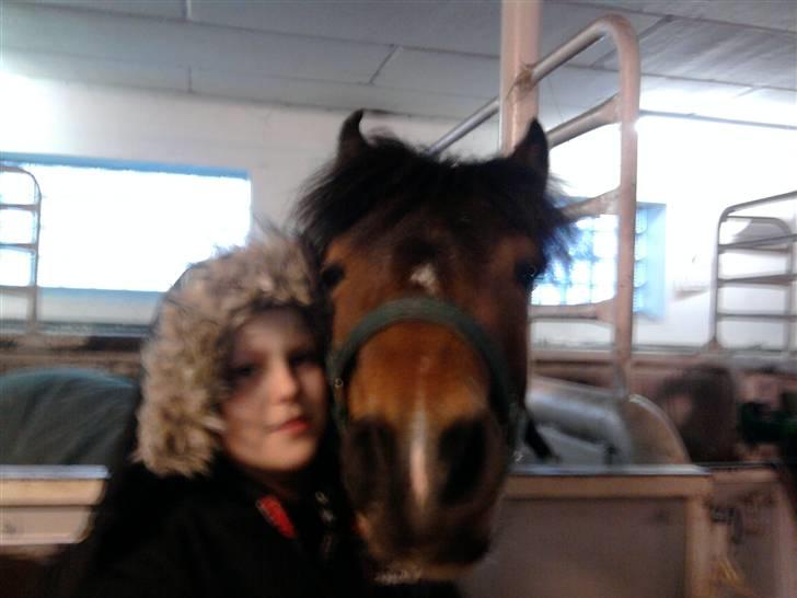 Pinto Arsenal - Mig og Nalle billede 11