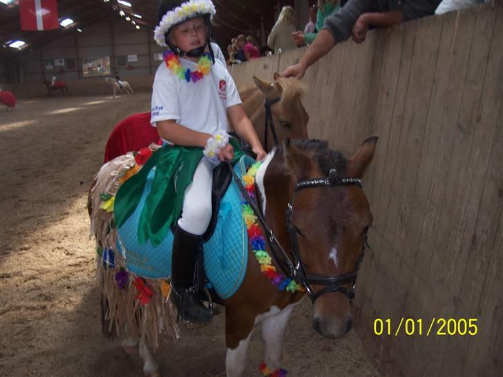 Pinto Arsenal - Mig og Nalle i hawai klædning billede 16