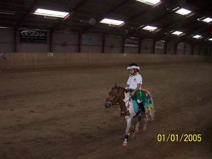 Pinto Arsenal - Kom så Nalle billede 17