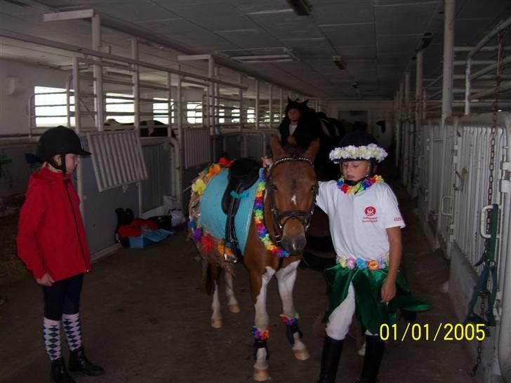 Pinto Arsenal - Nu skal vi over Nalle billede 18