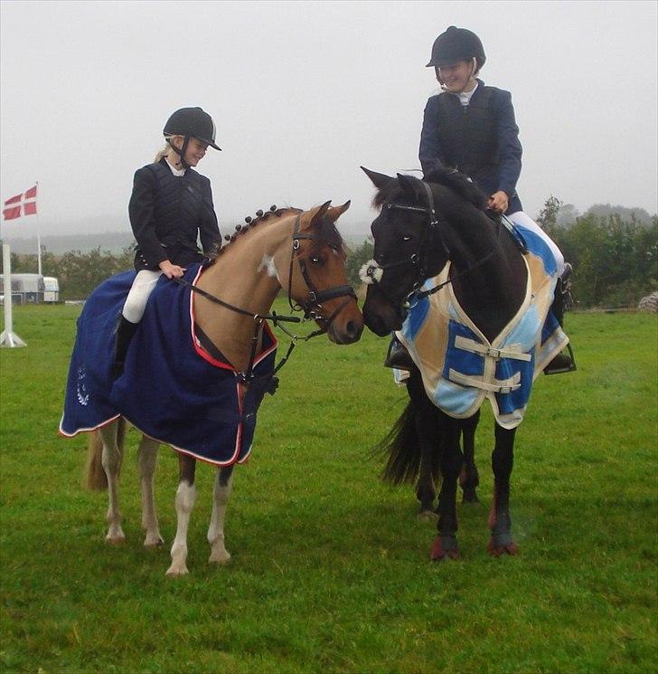 Pinto Holleskovgårds Teckla. - Telle og Blackie Snuser:) så sødt<3<3 billede 7