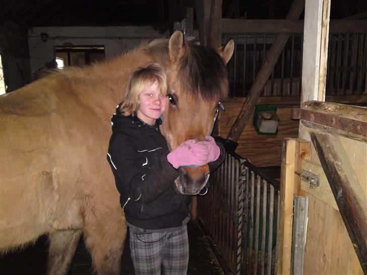 Anden særlig race daisy x-part solgt billede 1