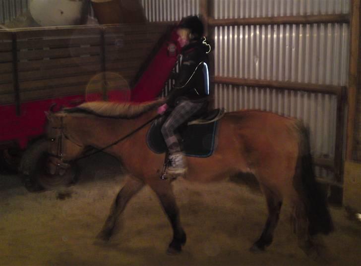 Anden særlig race daisy x-part solgt billede 6