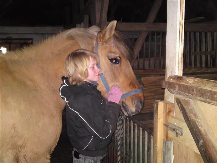 Anden særlig race daisy x-part solgt billede 7