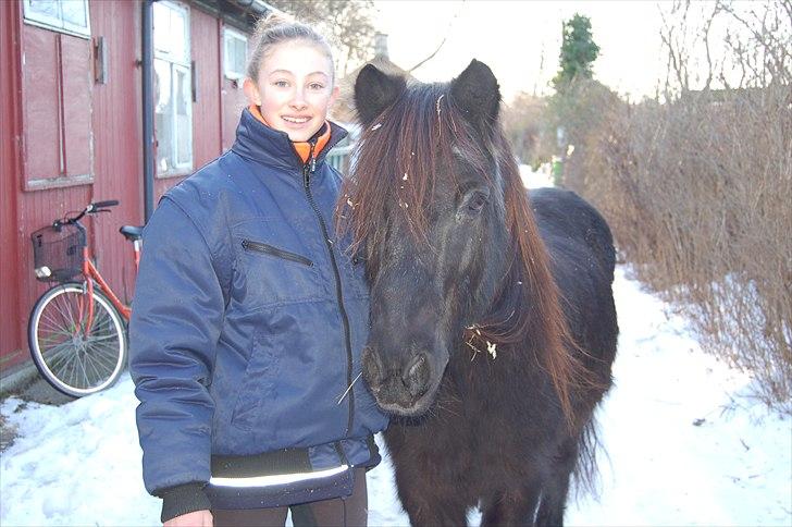 Anden særlig race Hugo - Mig og Hugo d.2 januar :) på vej hen til Hugo´s boks billede 13