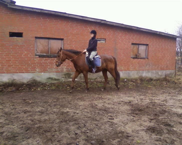 Anden særlig race Quinton - 20/3-10 billede 11