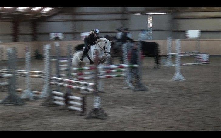 Fransk Sportspony Pacome  - Træning 16/3-11 billede 2