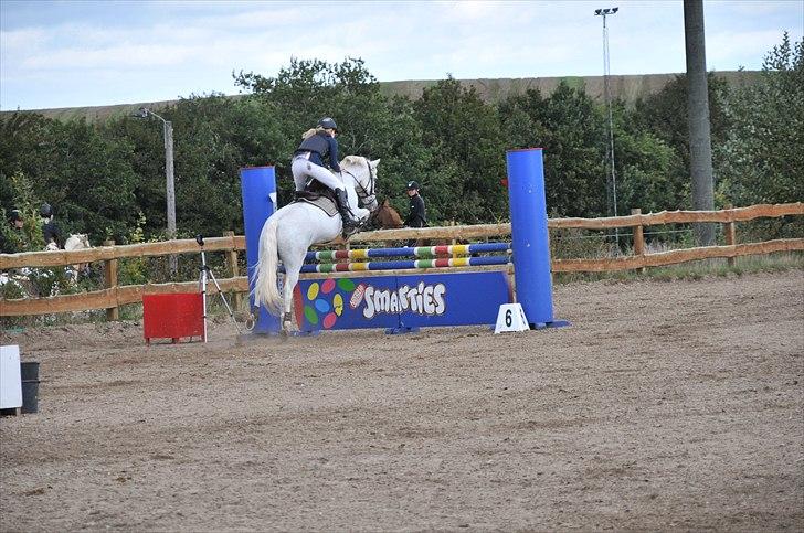 Fransk Sportspony Pacome  - Distriktsmesterskab for hold 2010 - Hylke  billede 3