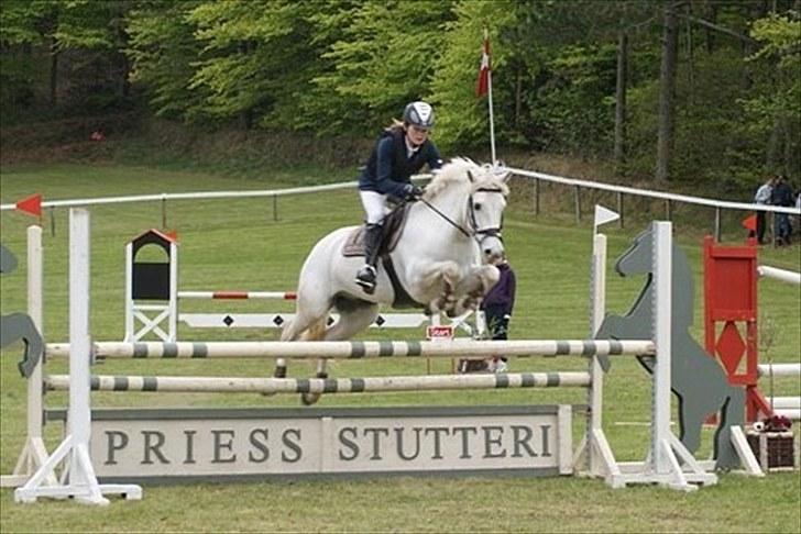 Fransk Sportspony Pacome  - Morsø 2010 billede 11