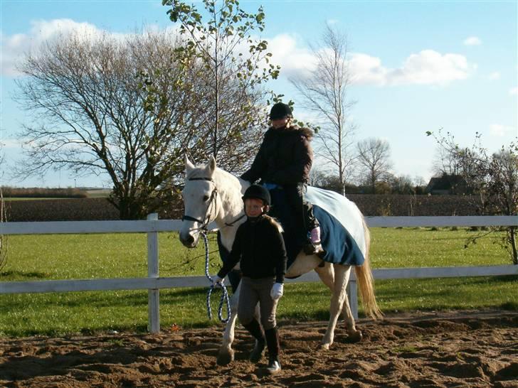 Anden særlig race Unihorse Zar RIP d.6/4-10 billede 17