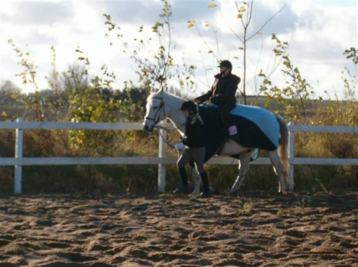 Anden særlig race Unihorse Zar RIP d.6/4-10 billede 18