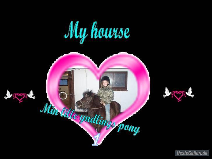 Shetlænder Emil - søde har lavet et sødt billede til diig<33 billede 4