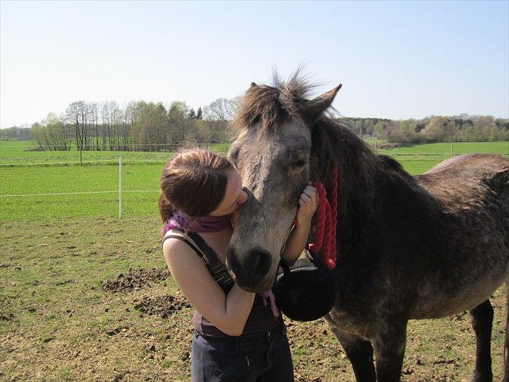 Connemara Goldie - Jeg elsker dig mus :-* <3 April 2011 billede 2