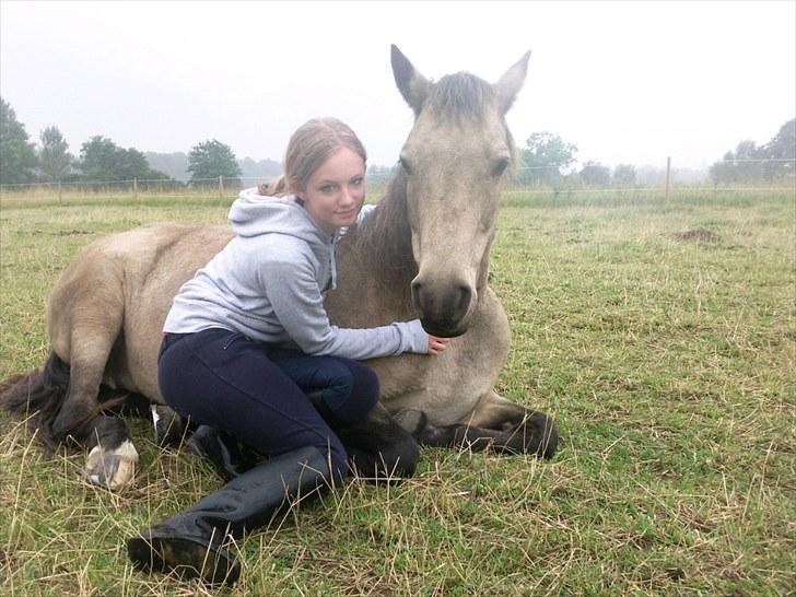 Connemara Goldie - Min elskede tøs- dagen efter en lang men deeejlig skovtur! billede 3
