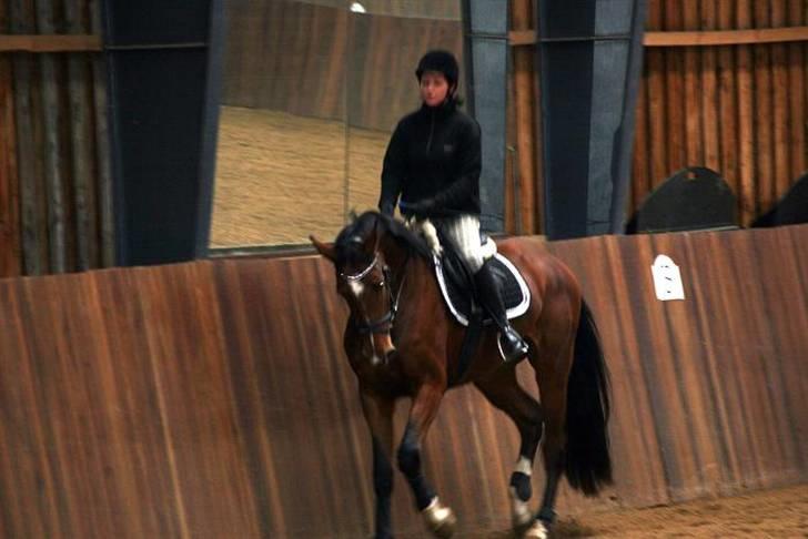 Dansk Varmblod Åkær Charlot (RDS Kåret) - Mig og Charlot <3 2009 billede 8