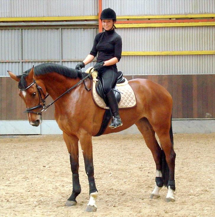 Dansk Varmblod Åkær Charlot (RDS Kåret) - Min engel <3 Maj 2010 billede 9