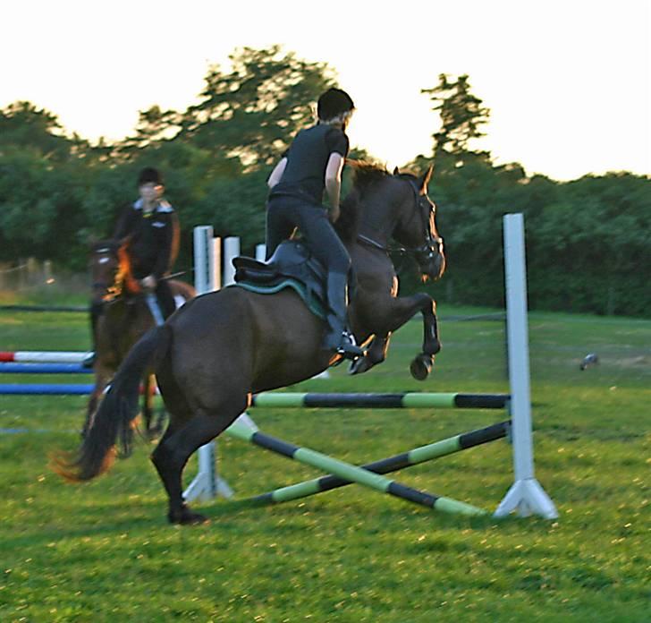 Anden særlig race - Marcell - Meget gammelt billede, savner virkelig de tider Marcell :(<3 Fra et af de første år jeg havde ham (2004/2005) billede 7