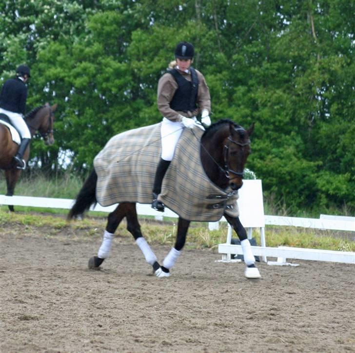 Anden særlig race - Marcell billede 10