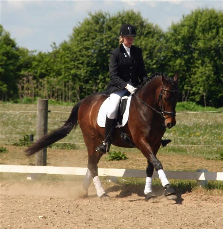 Anden særlig race - Marcell billede 11