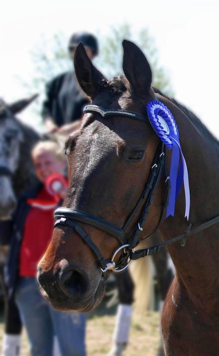 Anden særlig race - Marcell billede 12