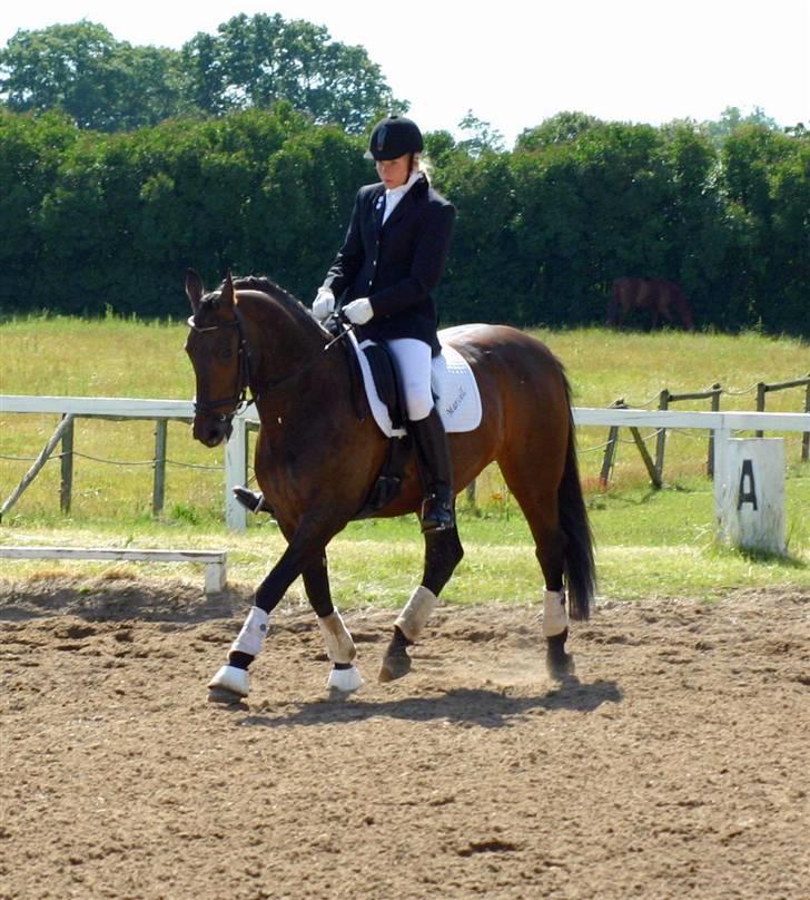 Anden særlig race - Marcell billede 13