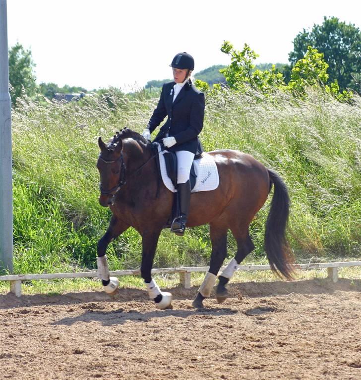 Anden særlig race - Marcell billede 14