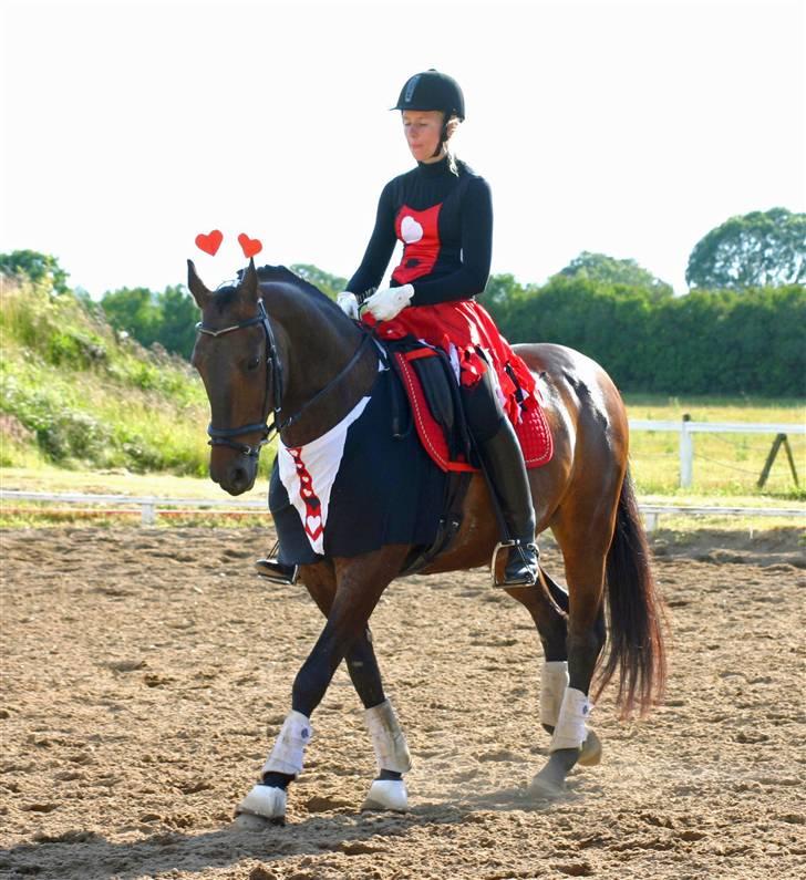 Anden særlig race - Marcell billede 15