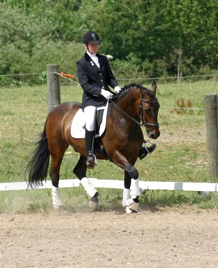 Anden særlig race - Marcell billede 16