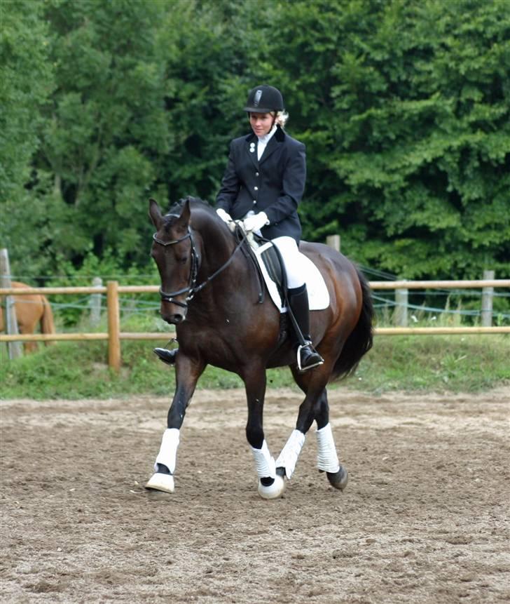 Anden særlig race - Marcell billede 17