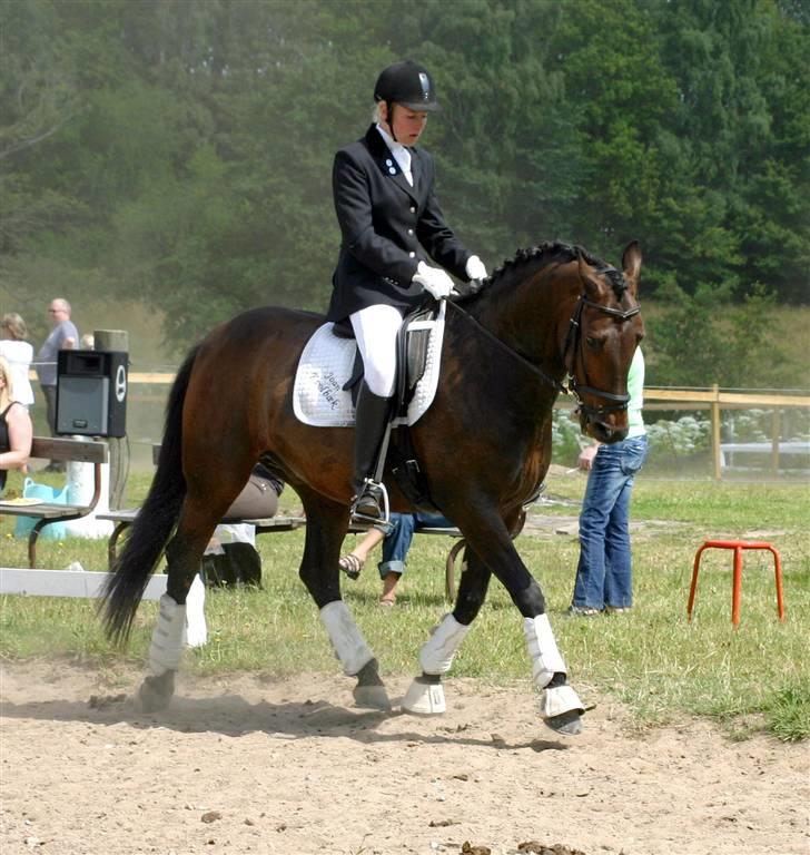 Anden særlig race - Marcell billede 18