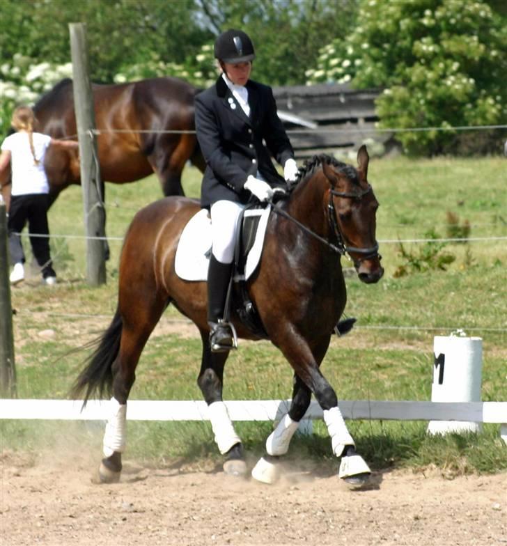 Anden særlig race - Marcell billede 19