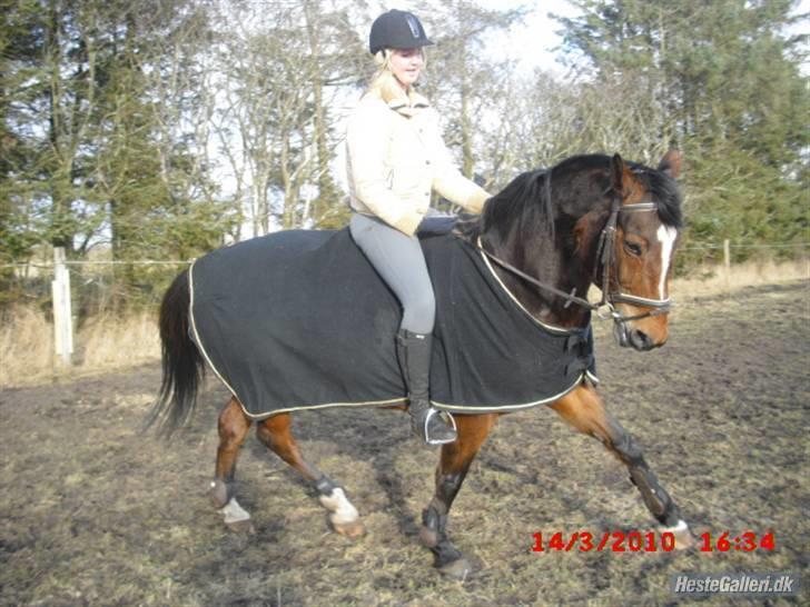 Westfaler wiktoria  billede 12