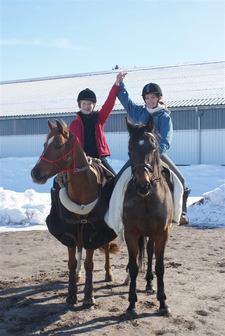 Anden særlig race Bonnie - Foto: Nadiiih billede 14