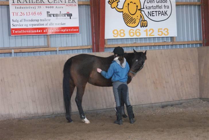 Anden særlig race Bonnie - Foto: Nadiiih billede 15