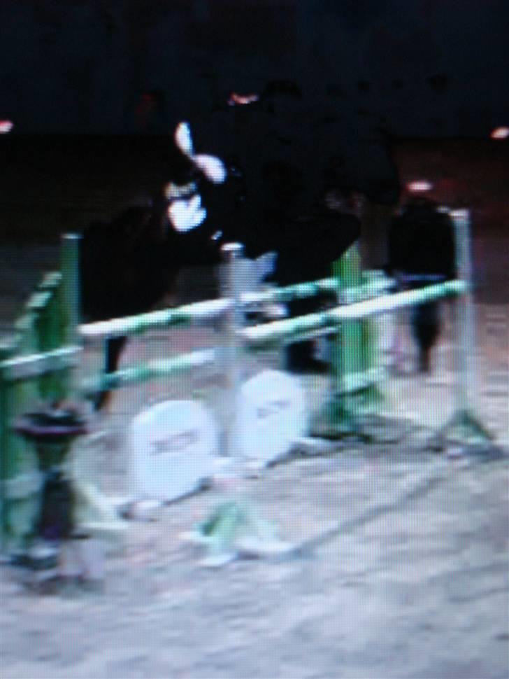 Dansk Varmblod Michellina (Fie) - Fie mb, fyens rideklub 2010, vi blev nummer 7. billede 7